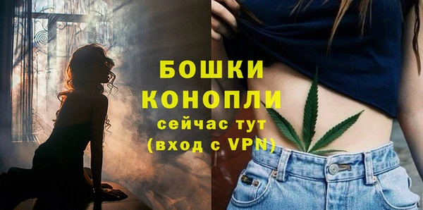 МДПВ Аркадак